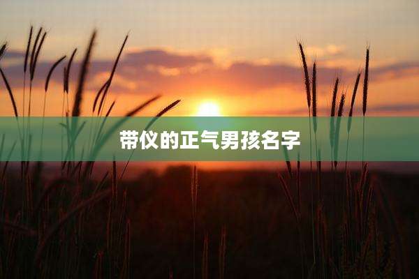 带仪的正气男孩名字