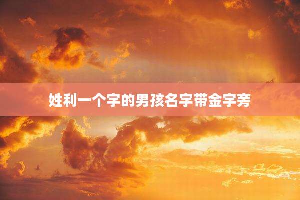 姓利一个字的男孩名字带金字旁