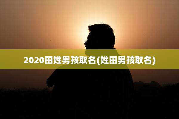 2020田姓男孩取名(姓田男孩取名)