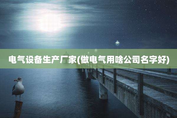电气设备生产厂家(做电气用啥公司名字好)