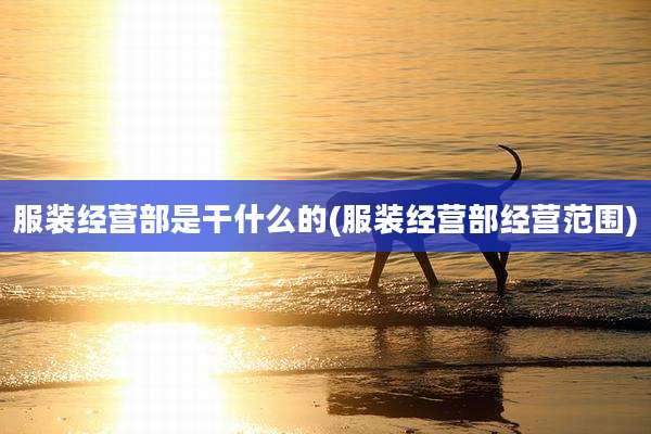 服装经营部是干什么的(服装经营部经营范围)