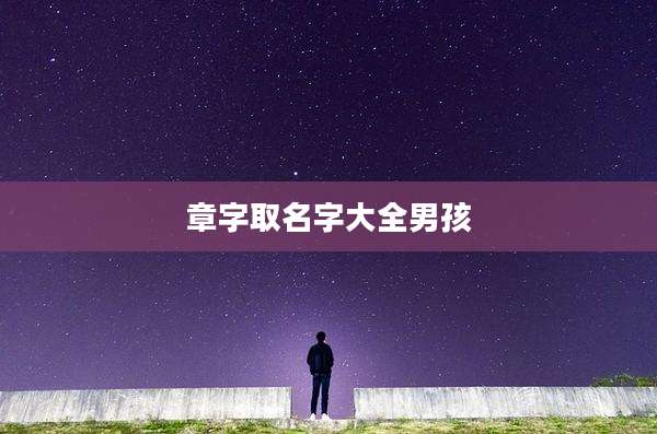 章字取名字大全男孩
