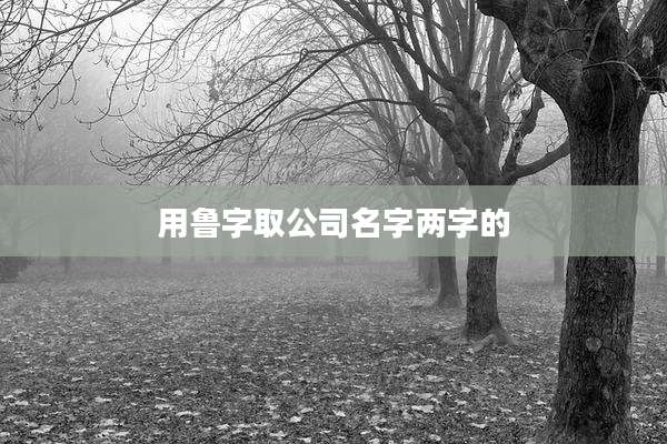 用鲁字取公司名字两字的