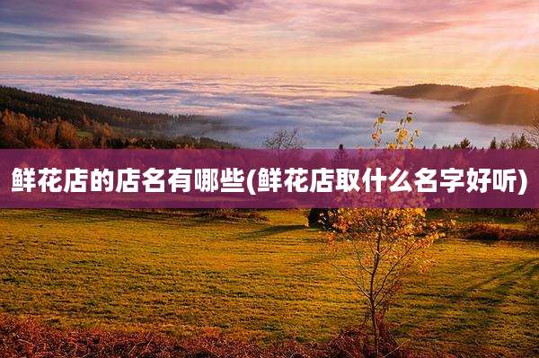 鲜花店的店名有哪些(鲜花店取什么名字好听)