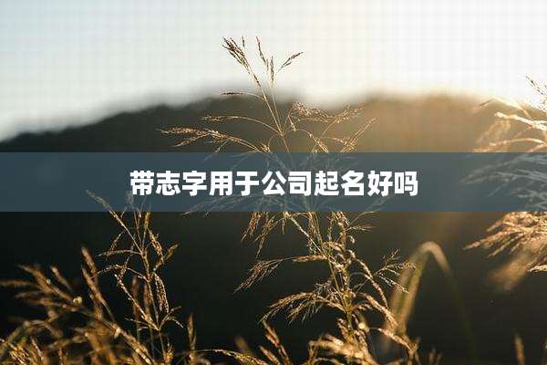 带志字用于公司起名好吗