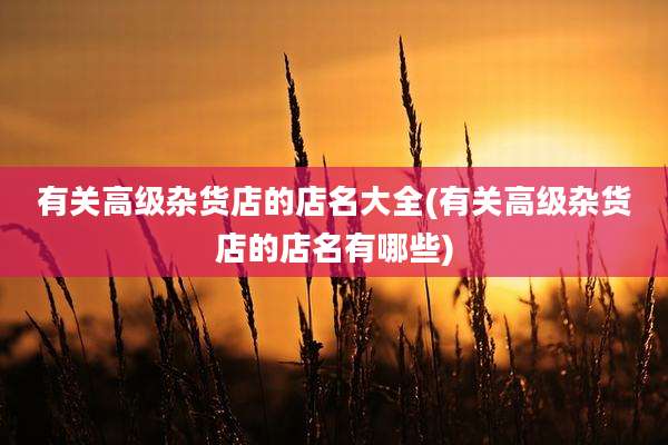 有关高级杂货店的店名大全(有关高级杂货店的店名有哪些)
