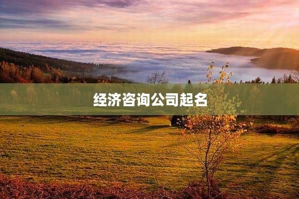 经济咨询公司起名