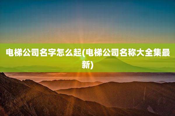 电梯公司名字怎么起(电梯公司名称大全集最新)