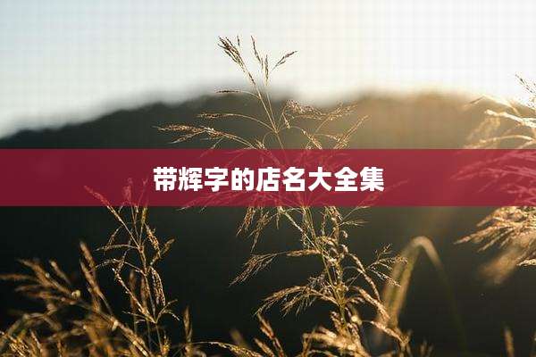 带辉字的店名大全集
