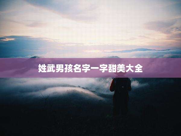 姓武男孩名字一字甜美大全