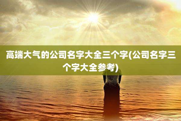 高端大气的公司名字大全三个字(公司名字三个字大全参考)