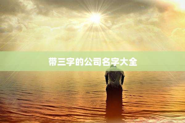 带三字的公司名字大全