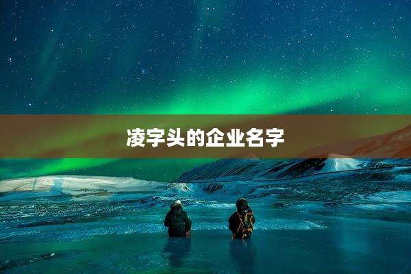 凌字头的企业名字