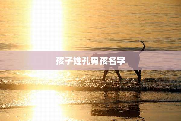 孩子姓孔男孩名字
