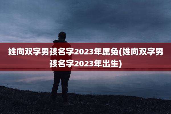 姓向双字男孩名字2023年属兔(姓向双字男孩名字2023年出生)