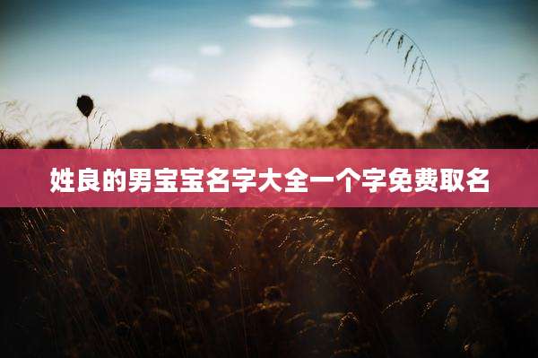 姓良的男宝宝名字大全一个字免费取名