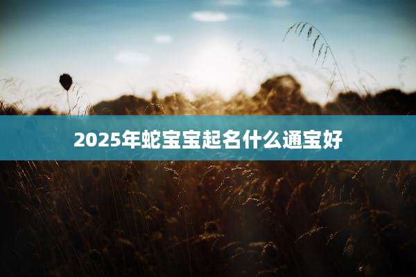 2025年蛇宝宝起名什么通宝好