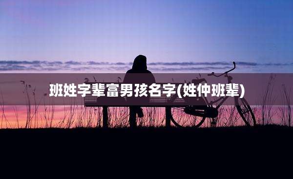 班姓字辈富男孩名字(姓仲班辈)