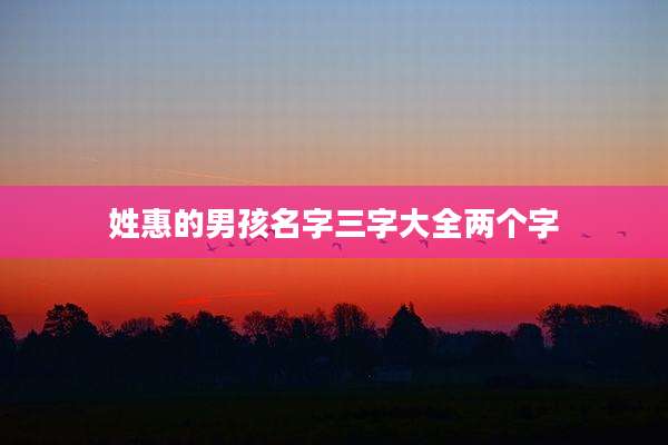 姓惠的男孩名字三字大全两个字