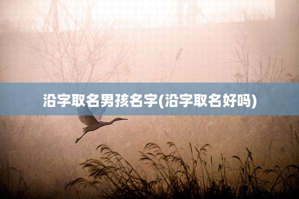 沿字取名男孩名字(沿字取名好吗)