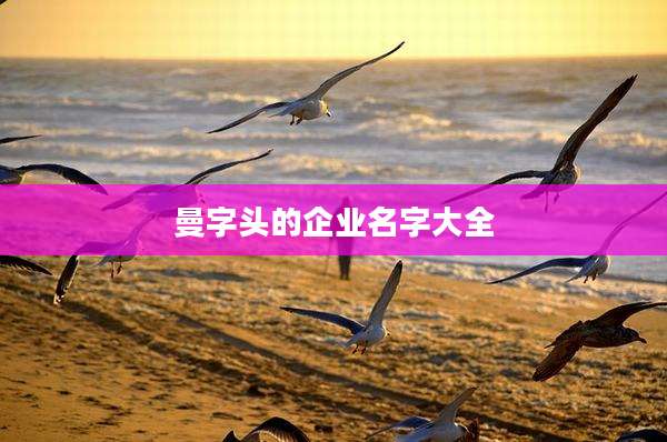 曼字头的企业名字大全
