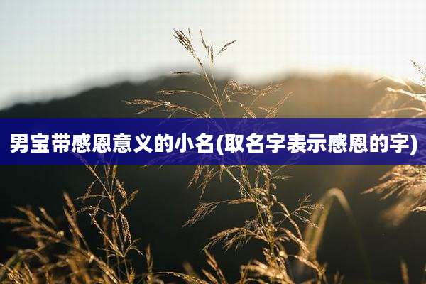男宝带感恩意义的小名(取名字表示感恩的字)