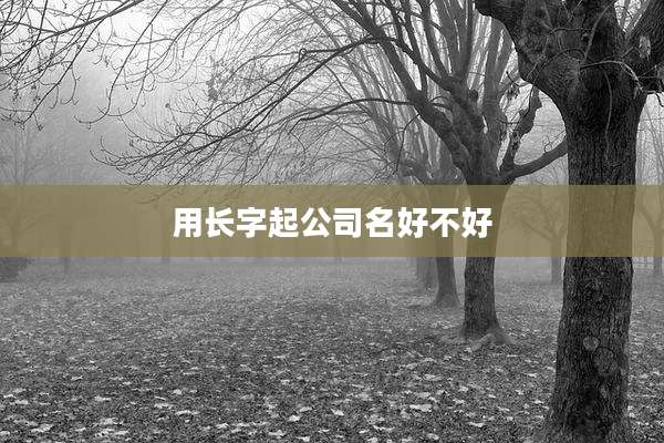 用长字起公司名好不好