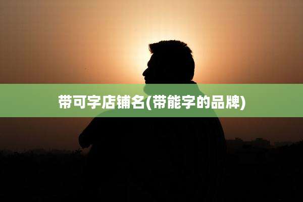 带可字店铺名(带能字的品牌)