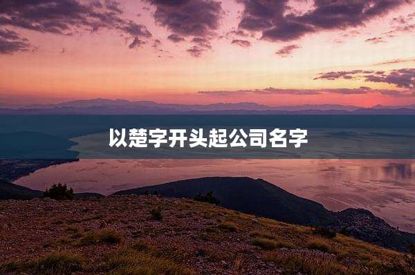 以楚字开头起公司名字