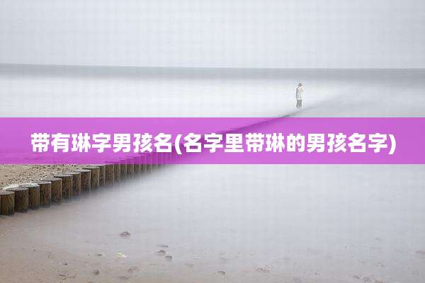 带有琳字男孩名(名字里带琳的男孩名字)