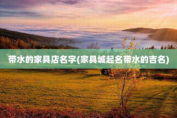 带水的家具店名字(家具城起名带水的吉名)