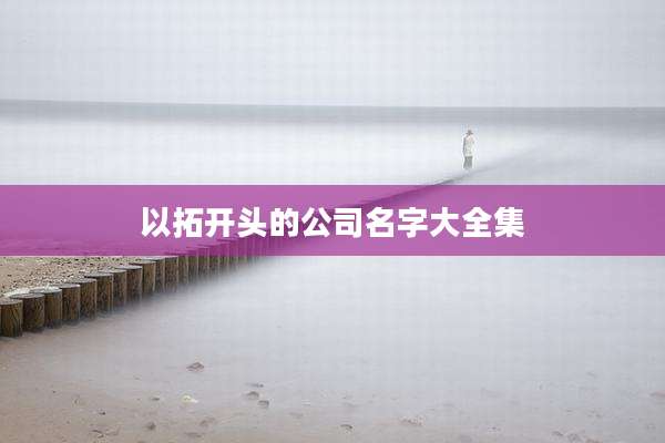以拓开头的公司名字大全集