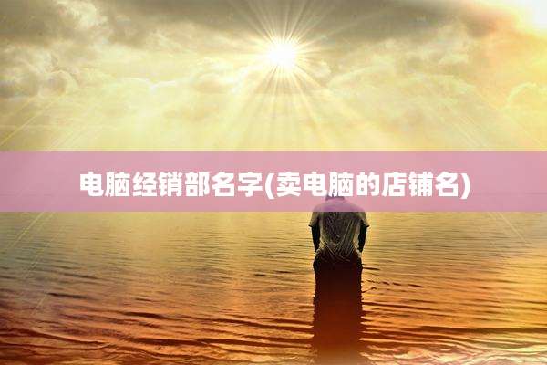 电脑经销部名字(卖电脑的店铺名)