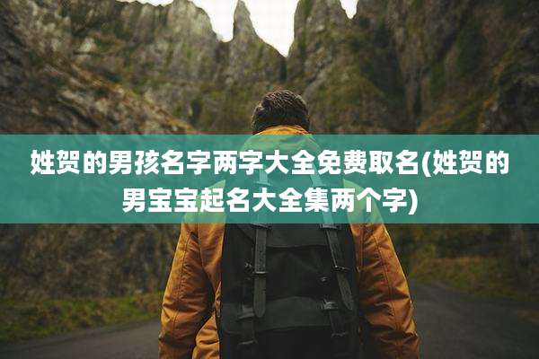 姓贺的男孩名字两字大全免费取名(姓贺的男宝宝起名大全集两个字)