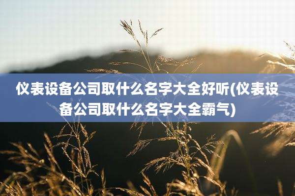 仪表设备公司取什么名字大全好听(仪表设备公司取什么名字大全霸气)