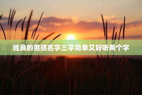 姓良的男孩名字三字简单又好听两个字