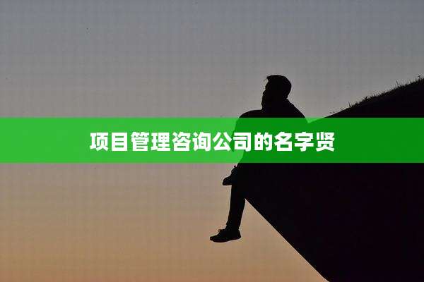 项目管理咨询公司的名字贤