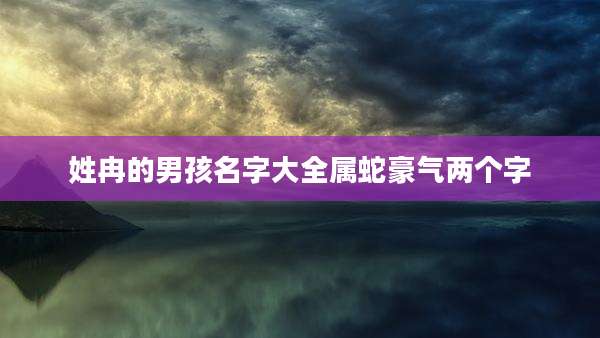 姓冉的男孩名字大全属蛇豪气两个字