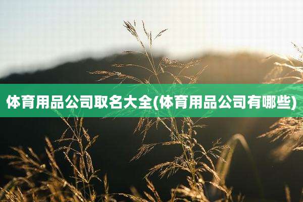体育用品公司取名大全(体育用品公司有哪些)