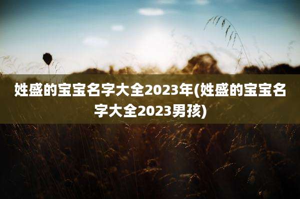 姓盛的宝宝名字大全2023年(姓盛的宝宝名字大全2023男孩)