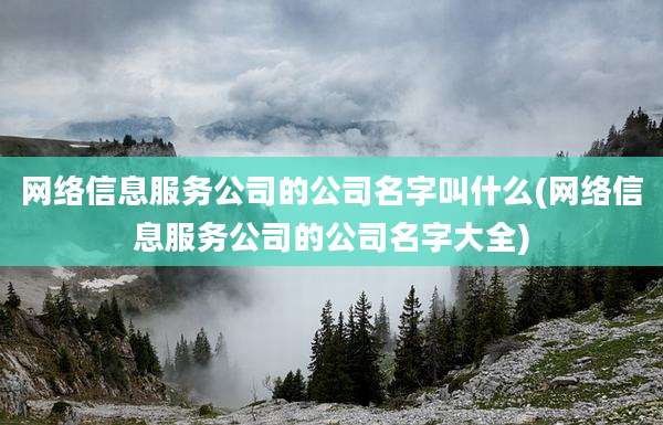 网络信息服务公司的公司名字叫什么(网络信息服务公司的公司名字大全)