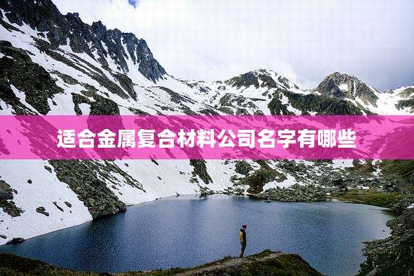 适合金属复合材料公司名字有哪些