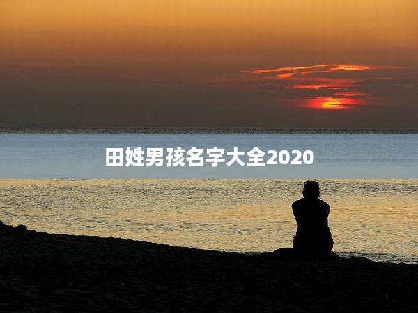 田姓男孩名字大全2020