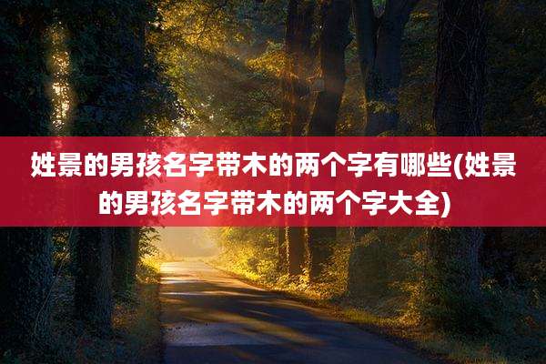 姓景的男孩名字带木的两个字有哪些(姓景的男孩名字带木的两个字大全)