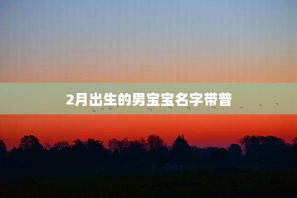 2月出生的男宝宝名字带普