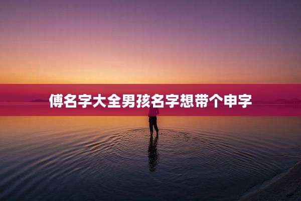 傅名字大全男孩名字想带个申字