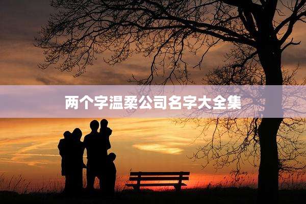 两个字温柔公司名字大全集