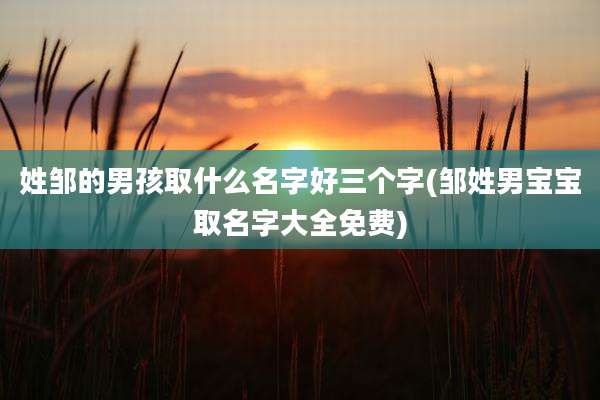 姓邹的男孩取什么名字好三个字(邹姓男宝宝取名字大全免费)
