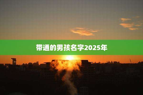 带通的男孩名字2025年