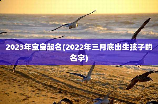 2023年宝宝起名(2022年三月底出生孩子的名字)